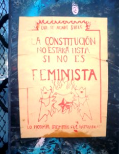 La constitución no estará lista si no es feminista