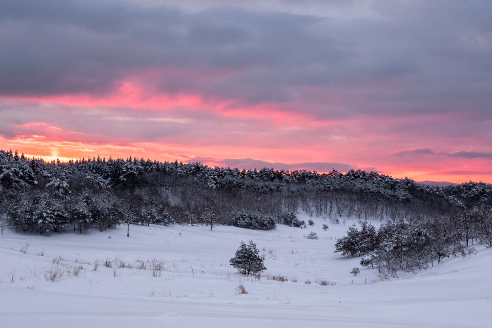 Winter morning glow snow