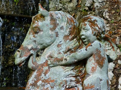 Sculpture tuscany horse photo