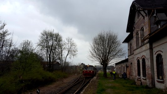 Lesna tourist train