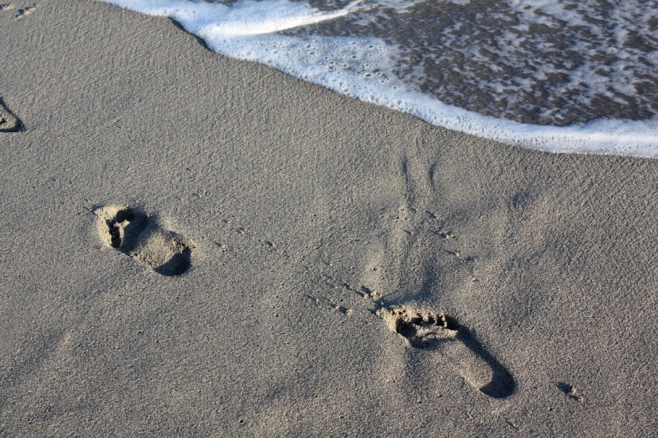 Seashore nature gray sand