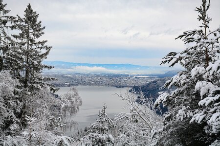 Nature winter mountains