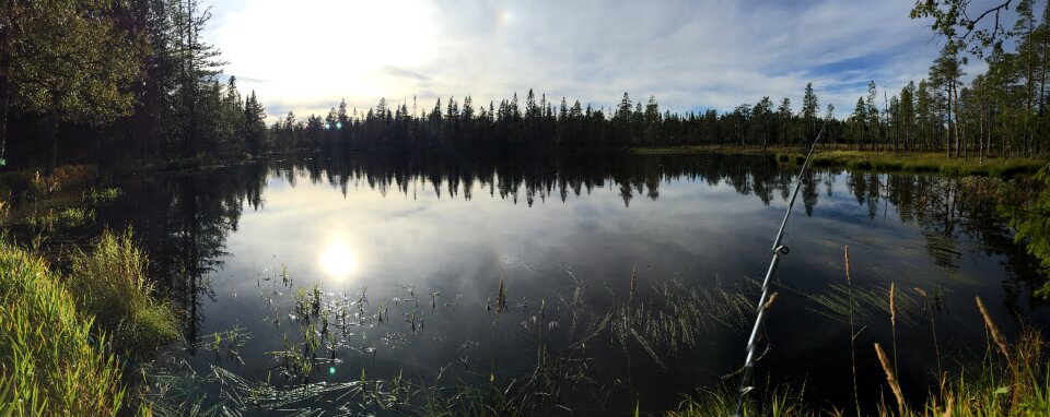 Fish water smooth as glass photo