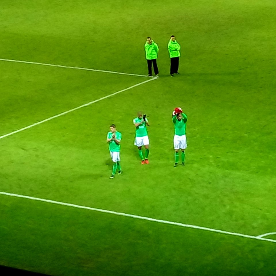 Lille - Saint-Etienne (13-01-2017) 48