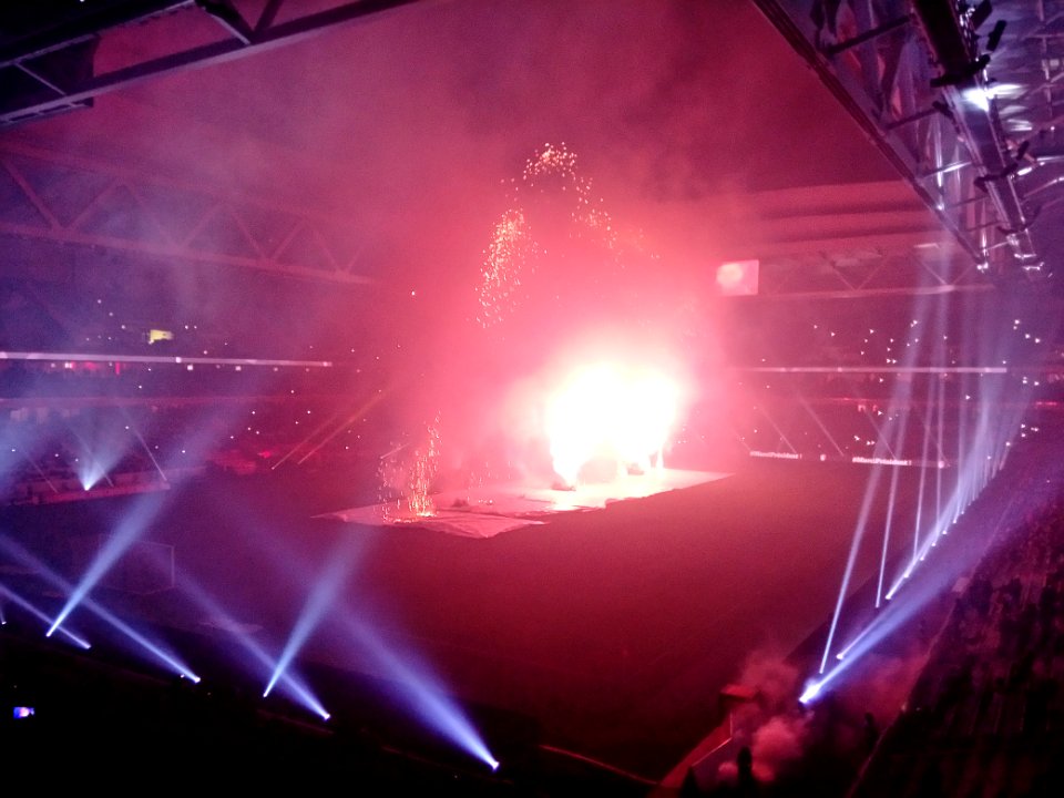Lille - Saint-Etienne (13-01-2017) 60