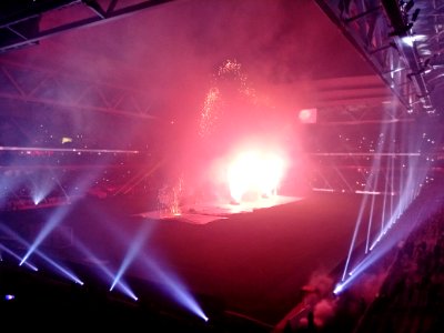 Lille - Saint-Etienne (13-01-2017) 60