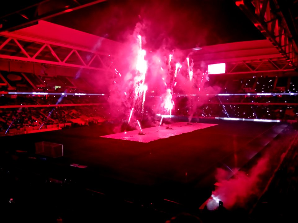 Lille - Saint-Etienne (13-01-2017) 55