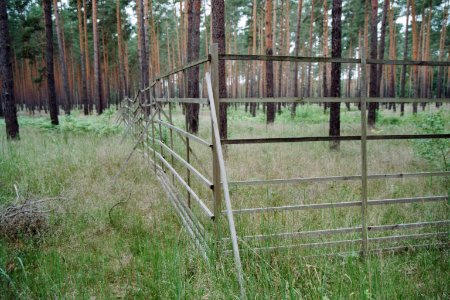 Lieberoser Heide Hordengatter 1