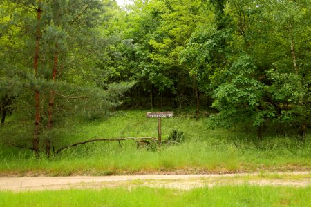 Lieberoser Heide Tenkenberge 01
