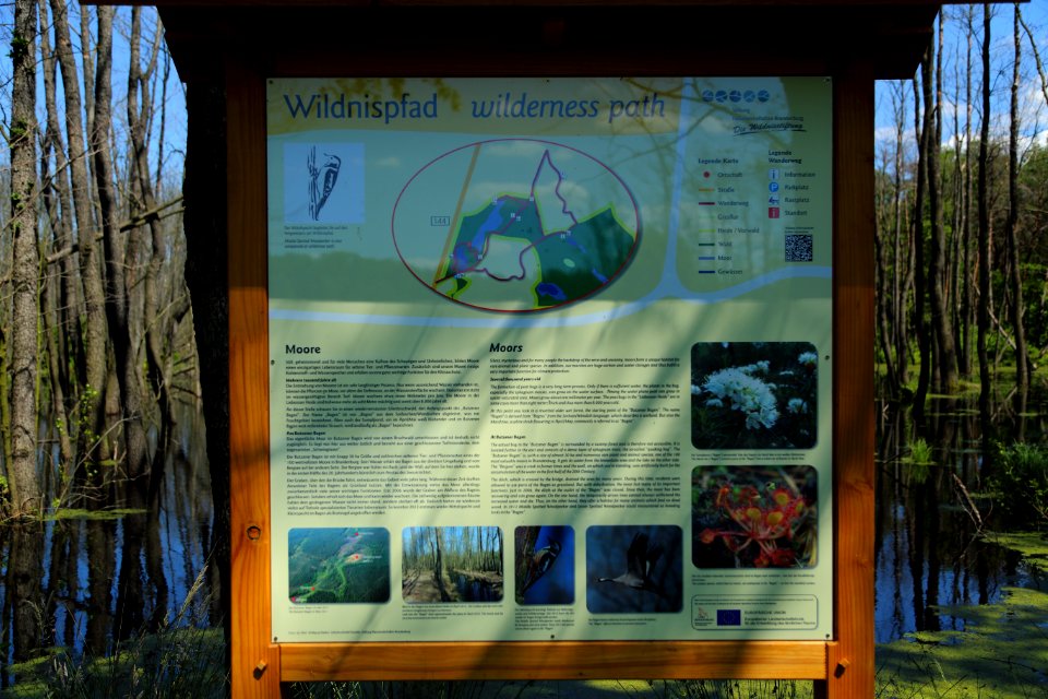 Lieberoser Heide Butzener Bagen Wildnispfad 01