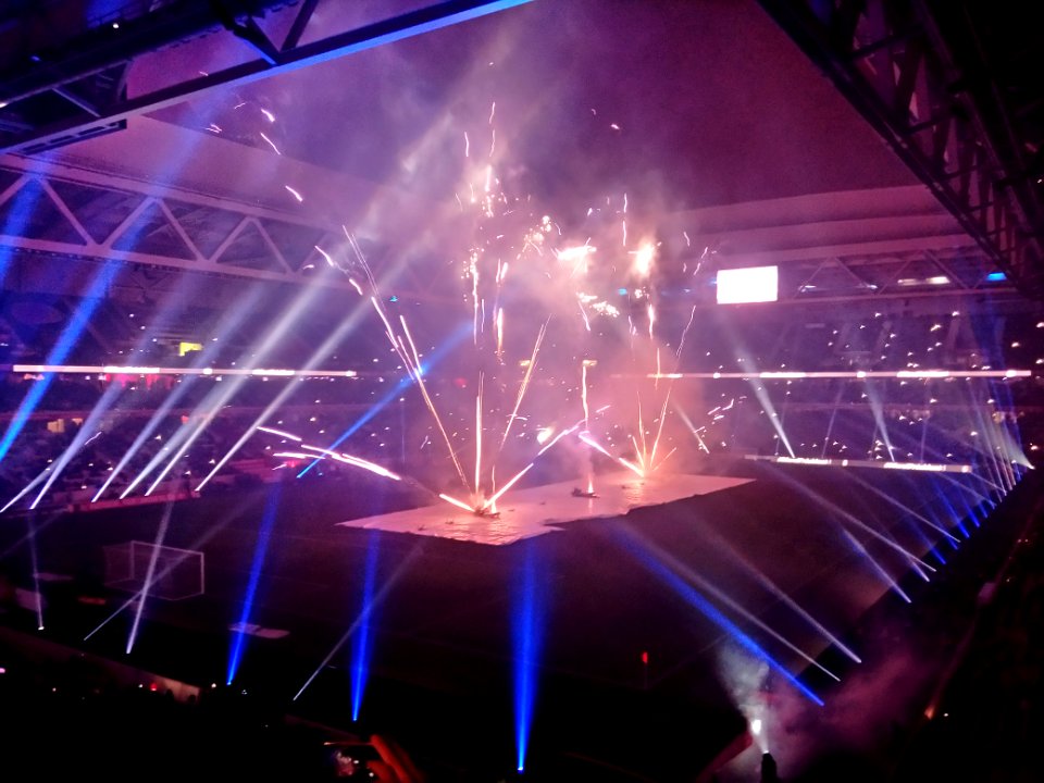Lille - Saint-Etienne (13-01-2017) 59