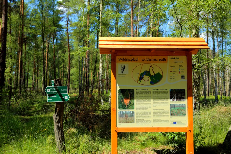 Lieberoser Heide Wildnispfad 03