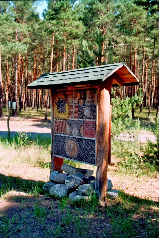 Lieberoser Heide Hubertushuette 07 Insektenhotel