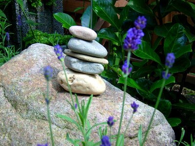 Visit stones foundling rocky and lavender