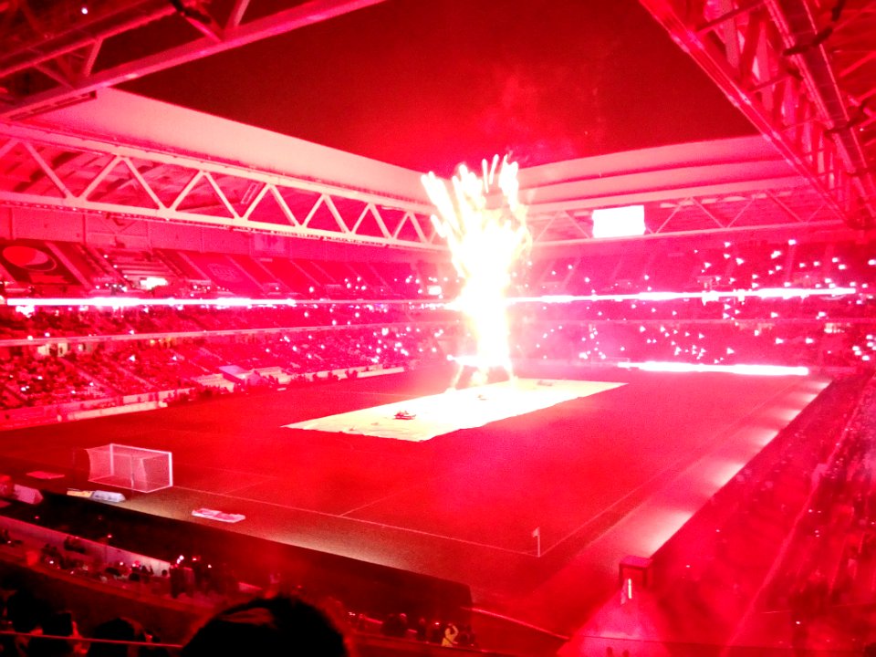 Lille - Saint-Etienne (13-01-2017) 52