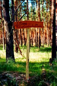 Lieberoser Heide Stiftung Naturlandschaften Brandenburg 01