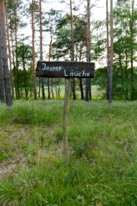 Lieberoser Heide Jessersche Laeuche 01