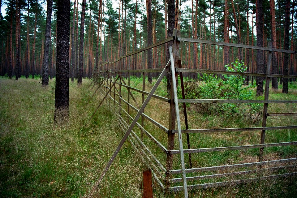 Lieberoser Heide Hordengatter 5