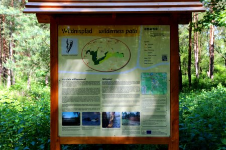 Lieberoser Heide Wildnispfad 01