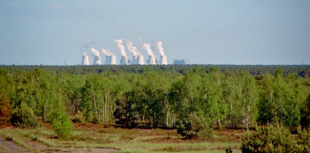Lieberoser Heide Tribuene 8