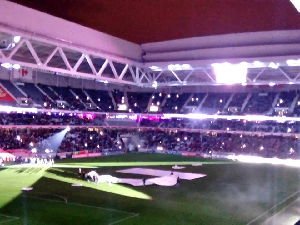 Lille - Saint-Etienne (13-01-2017) 49