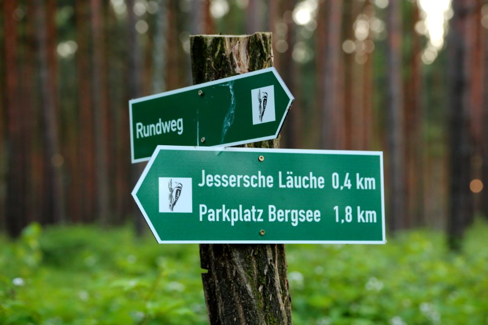 Lieberoser Heide Wildnispfad Bergseerundweg 03