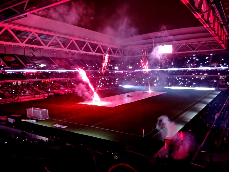 Lille - Saint-Etienne (13-01-2017) 53