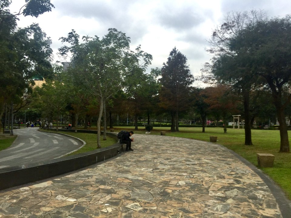 Lin Sen Park Central Area 20170125