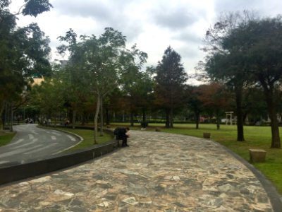 Lin Sen Park Central Area 20170125