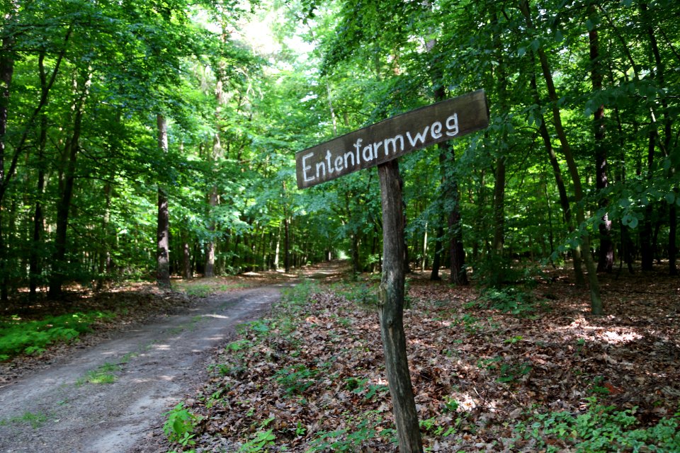 Lieberoser Heide Entenfarmweg