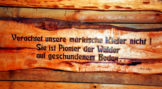Lieberoser Heide Hubertushuette 04