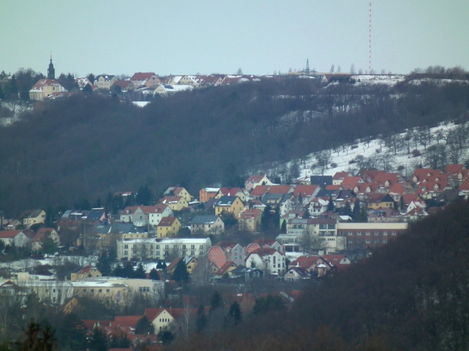 2021-01-19 Am Birkenwäldchen, Dresden 08