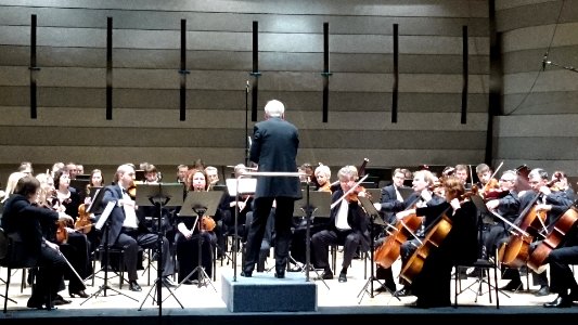 Lithuanian State Symphony Orchestra 2