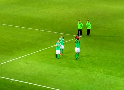Lille - Saint-Etienne (13-01-2017) 47