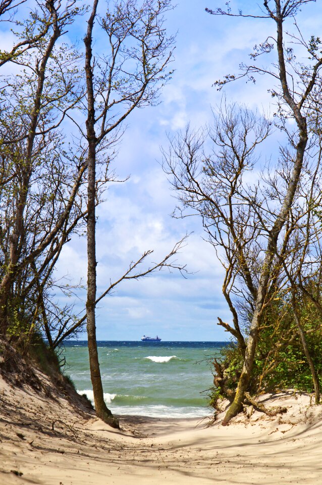 Beach nature water