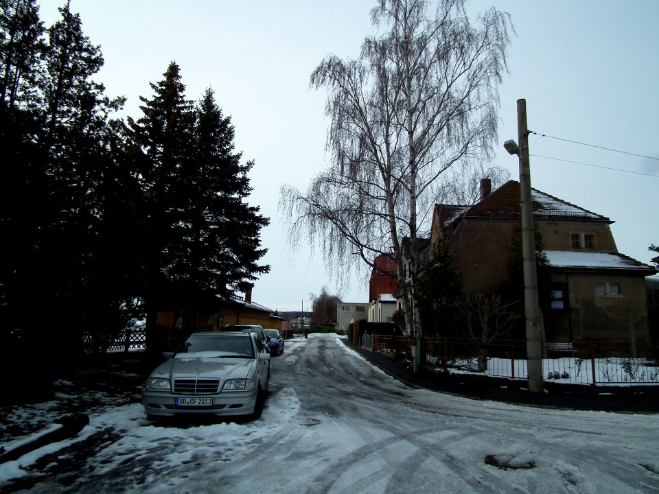 2021-01-19 Hermann-Michel-Straße, Dresden 01