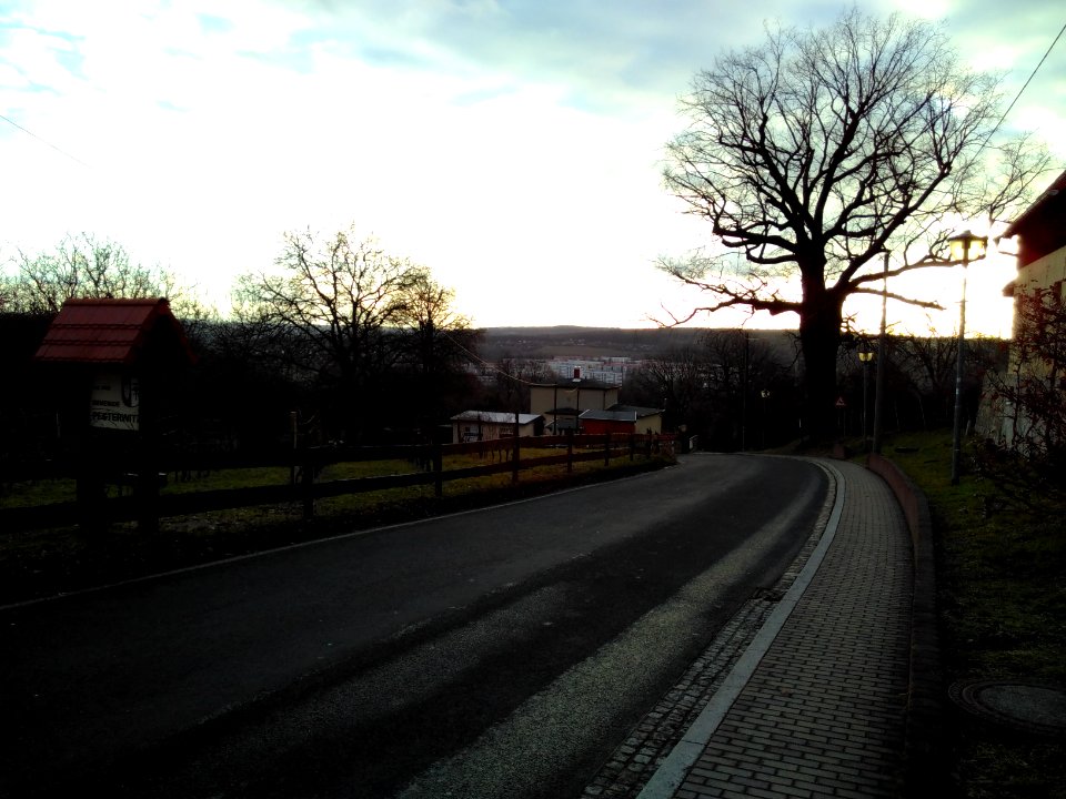2021-02-04 Pesterwitz 24