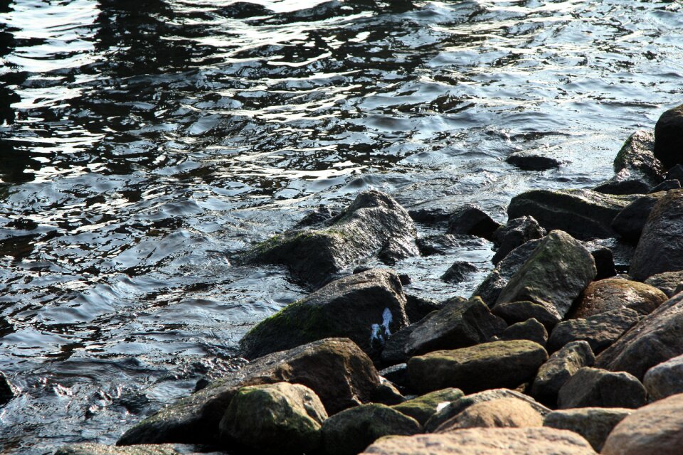 Mole protection rock coast