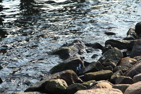 Mole protection rock coast photo