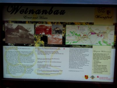 2021-02-04 Pesterwitz 18
