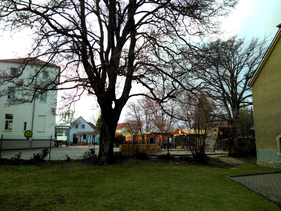 2021-02-04 Pesterwitz 09
