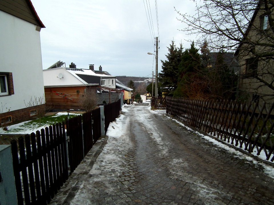 2021-01-19 Am Birkenwäldchen, Dresden 02