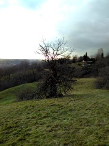 2021-02-04 Pesterwitz 19