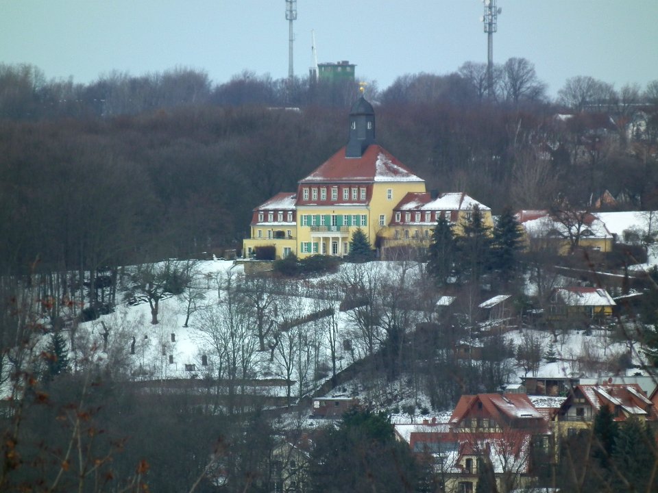 2021-01-19 Am Birkenwäldchen, Dresden 05
