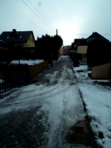 2021-01-19 Am Birkenwäldchen, Dresden 09