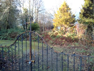 2021-02-04 Pesterwitz 01