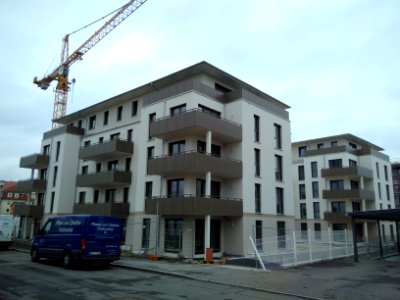 2021-02-02 Zinnwalder Straße, Dresden 02