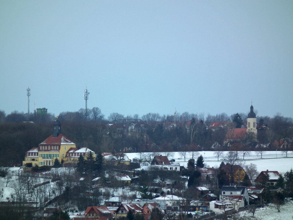 2021-01-19 Am Birkenwäldchen, Dresden 03
