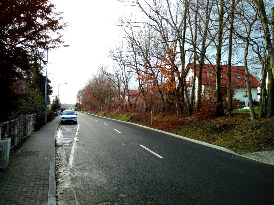 2021-02-04 Pesterwitz 11