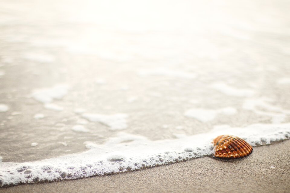 Shore ocean sea